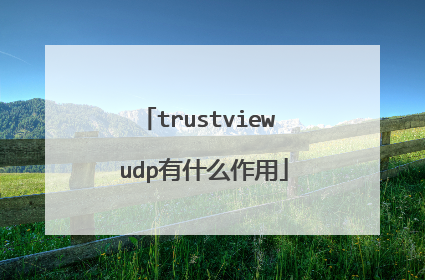 trustview udp有什么作用