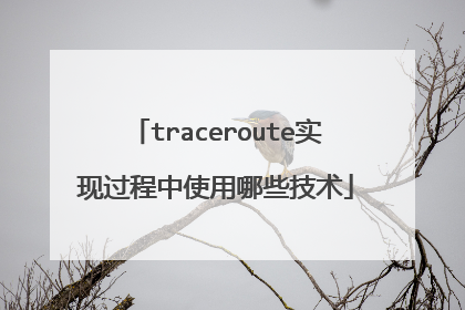traceroute实现过程中使用哪些技术