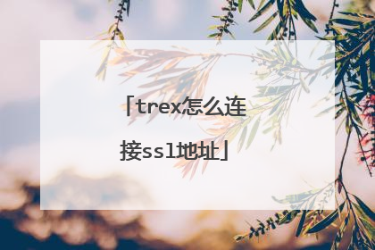 trex怎么连接ssl地址