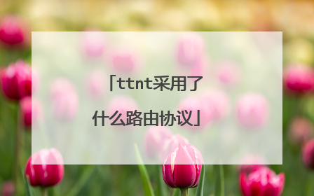 ttnt采用了什么路由协议