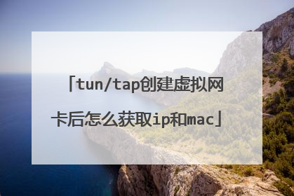 tun/tap创建虚拟网卡后怎么获取ip和mac