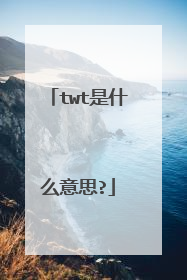 twt是什么意思?