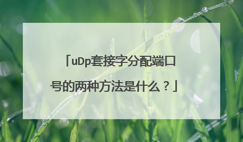 uDp套接字分配端口号的两种方法是什么？