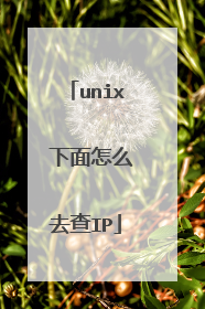 unix 下面怎么去查IP
