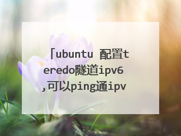 ubuntu 配置teredo隧道ipv6,可以ping通ipv6.google.com但是浏览器无法访问