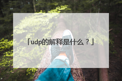 udp的解释是什么？
