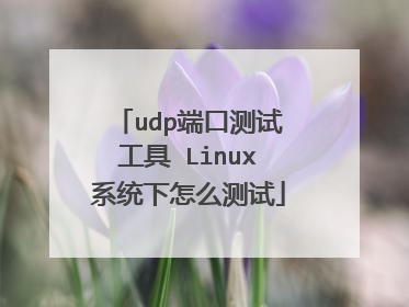 udp端口测试工具 Linux系统下怎么测试