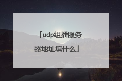 udp组播服务器地址填什么