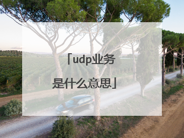 udp业务是什么意思