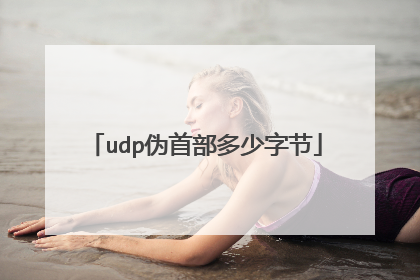 udp伪首部多少字节