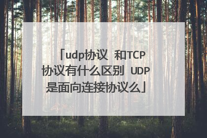 udp协议 和TCP协议有什么区别 UDP是面向连接协议么
