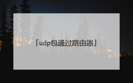 udp包通过路由器