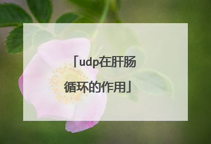 udp在肝肠循环的作用
