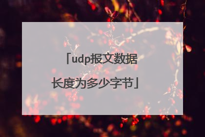 udp报文数据长度为多少字节
