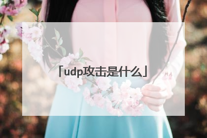 udp攻击是什么