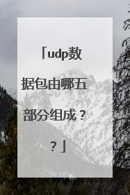 udp数据包由哪五部分组成？？