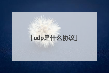 udp是什么协议