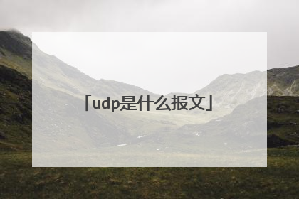 udp是什么报文