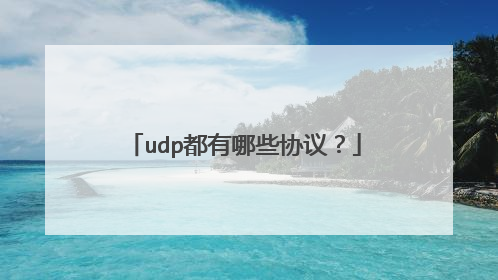 udp都有哪些协议？