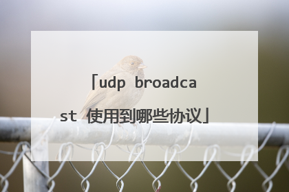 udp broadcast 使用到哪些协议