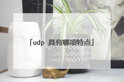 udp 具有哪项特点