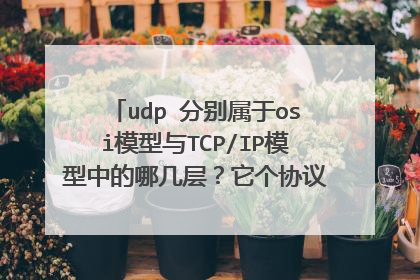 udp 分别属于osi模型与TCP/IP模型中的哪几层？它个协议格式是怎样的？