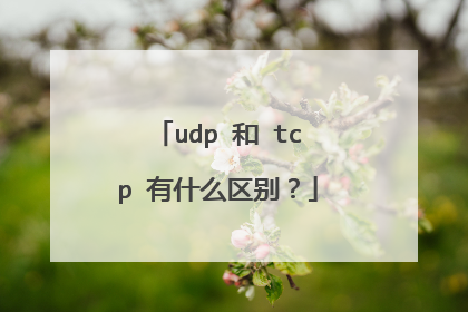 udp 和 tcp 有什么区别?