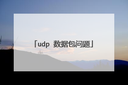 udp 数据包问题