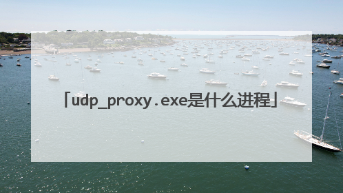 udp_proxy.exe是什么进程