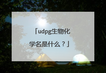 udpg生物化学名是什么？