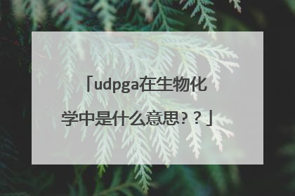 udpga在生物化学中是什么意思??