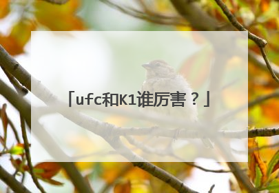 ufc和K1谁厉害?