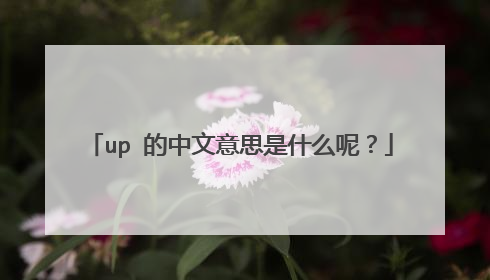 up 的中文意思是什么呢？