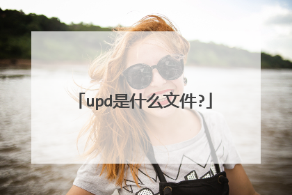 upd是什么文件?