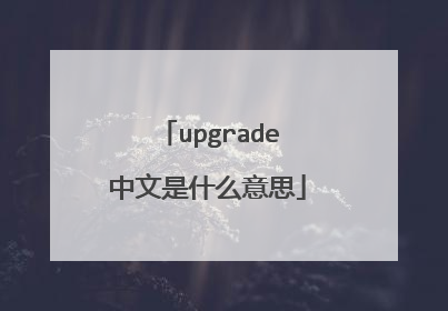 upgrade中文是什么意思