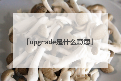 upgrade是什么意思