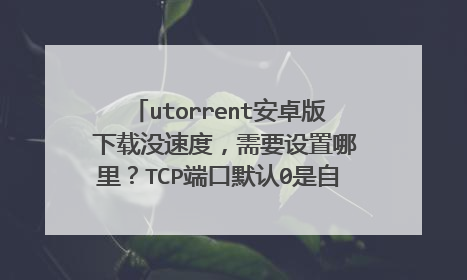 utorrent安卓版 下载没速度,需要设置哪里?TCP端口默认0是自动,设置多少号好?