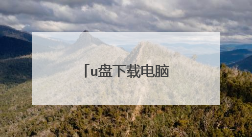 u盘下载电脑系统安装教程