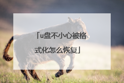 u盘不小心被格式化怎么恢复