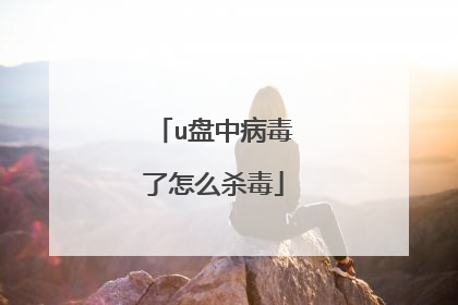 u盘中病毒了怎么杀毒