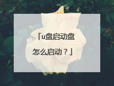 u盘启动盘怎么启动？