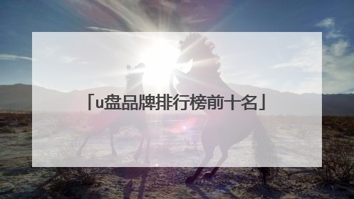 u盘品牌排行榜前十名