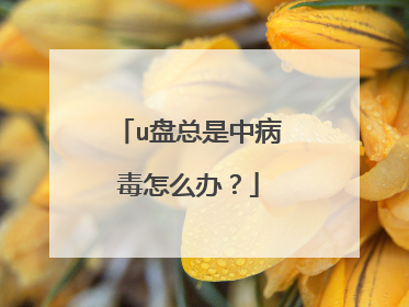 u盘总是中病毒怎么办？