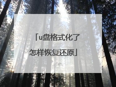u盘格式化了怎样恢复还原