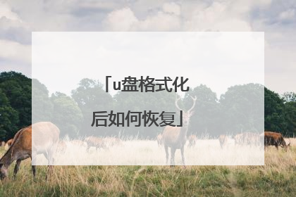 u盘格式化后如何恢复