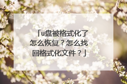 u盘被格式化了怎么恢复?怎么找回格式化文件?