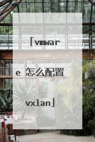 vmware 怎么配置vxlan