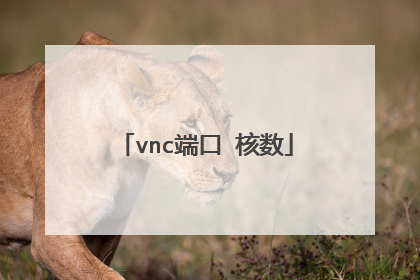 vnc端口 核数
