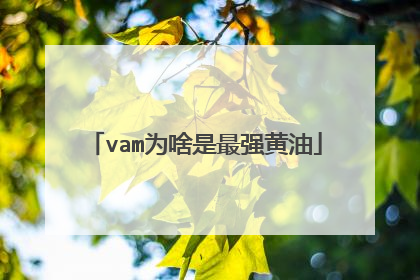 vam为啥是最强黄油