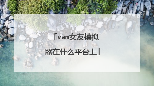 vam女友模拟器在什么平台上